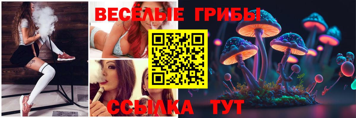 Галлюциногенные грибы ЛСД  Вход с VPN  Зеленогорск 